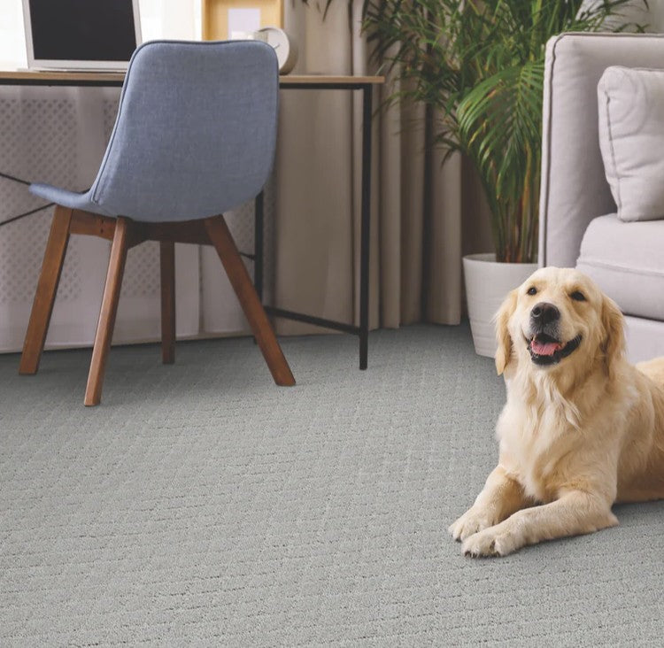 Carpet